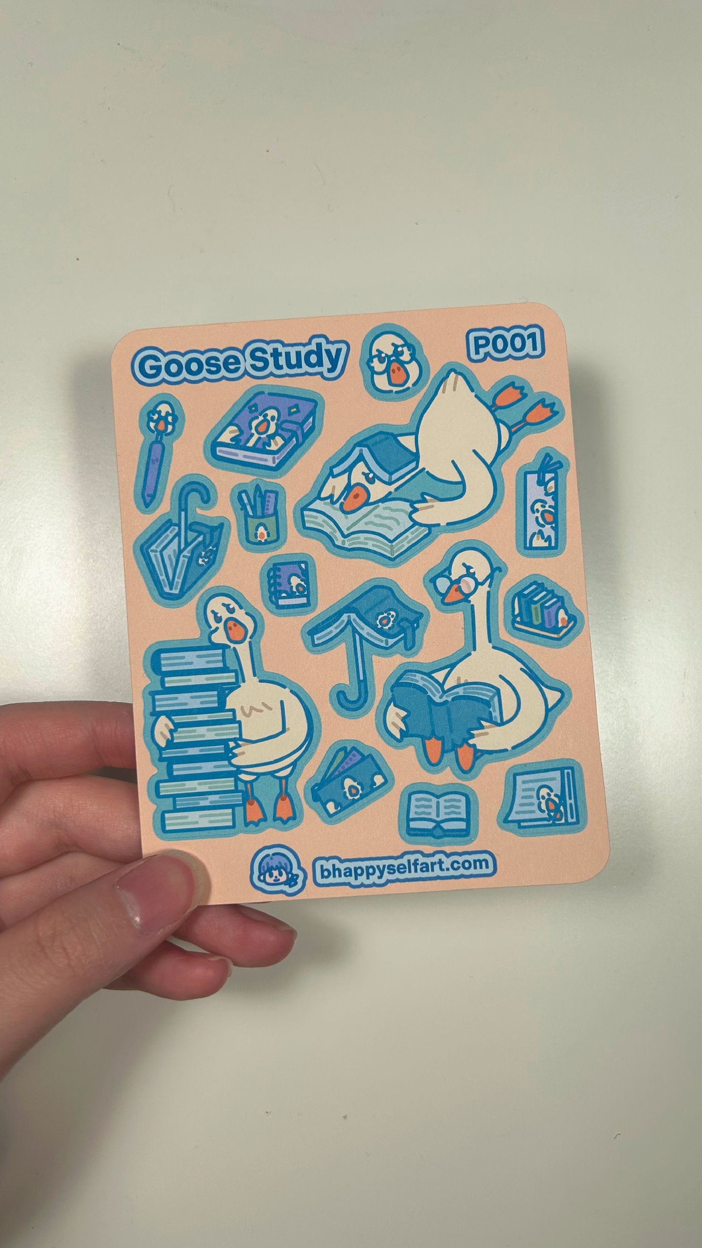 "Goose Study" Sticker Sheet - P001